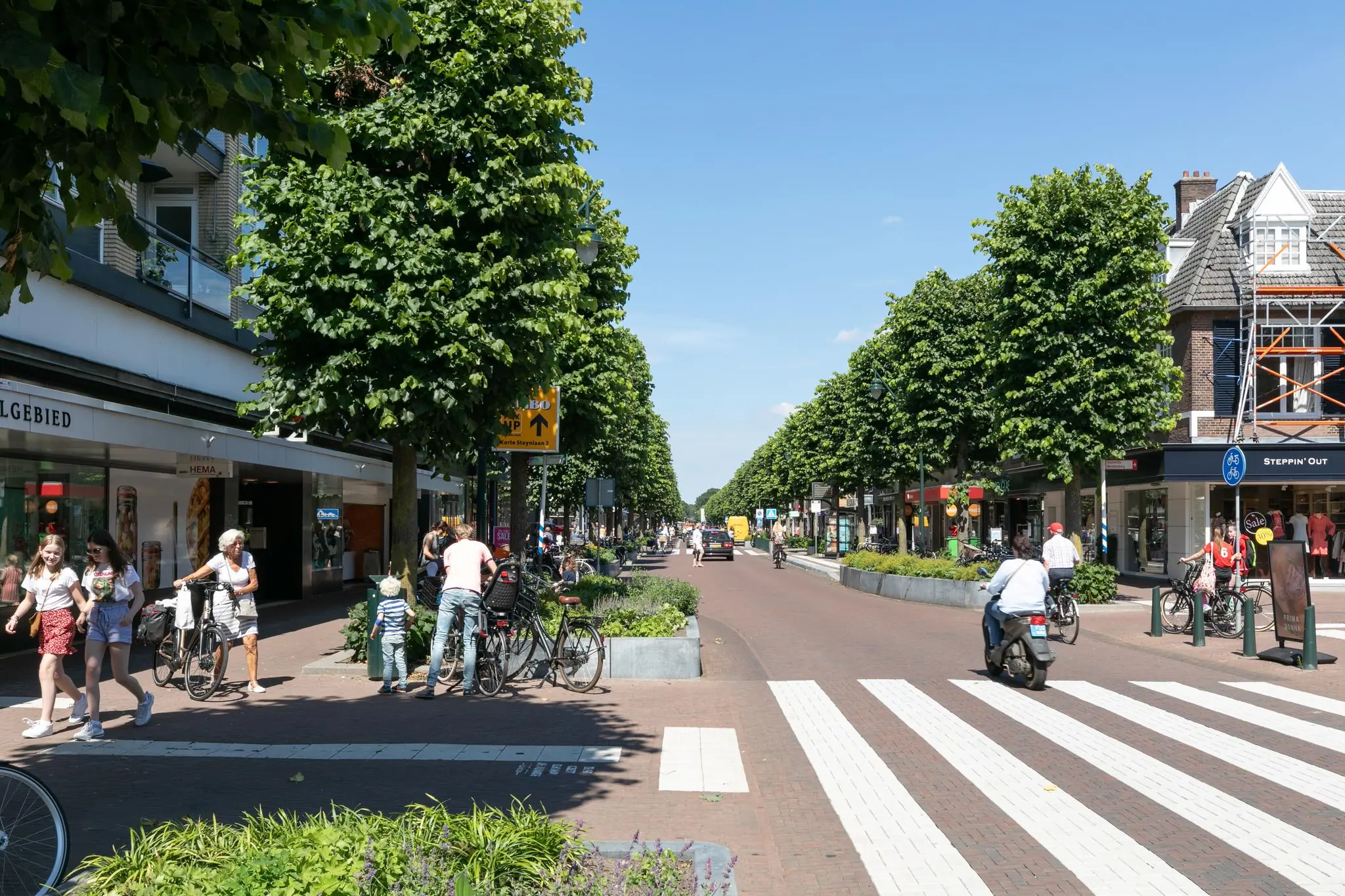 Drukke winkelstraat aan de 1e Hogeweg met voetgangers, fietsers en winkels onder een rij bomen op een zonnige dag.